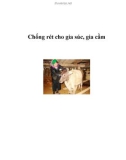 Chống rét cho gia súc, gia cầm