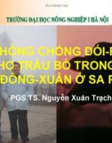 Bài giảng Phòng chống đói rét cho trâu bò trong vụ Đông - Xuân ở Sa Pa - PGS.TS. Nguyễn Xuân Trạch