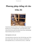 Phương pháp chống rét cho trâu, bò