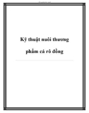 Kỹ thuật nuôi thương phẩm cá rô đồng