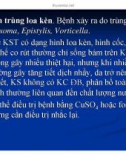 Bệnh học thủy sản : Bệnh ngoại ký sinh trùng part 5