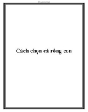 Cách chọn cá rồng con