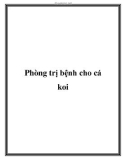 Phòng trị bệnh cho cá koi