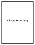 Cá rồng Thanh Long