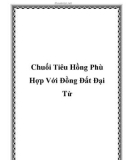 Chuối Tiêu Hồng Phù Hợp Với Đồng Đất Đại Từ