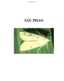 SÂU PHAO