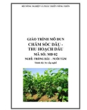 Giáo trình Chăm sóc dâu và thu hoạch dâu - MĐ02: Trồng dâu – nuôi tằm