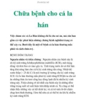 Chữa bệnh cho cá la há