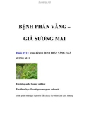 BỆNH PHẤN VÀNG – GIẢ SƯƠNG MAI Thuốc BVTV trong điều trị BỆNH PHẤN VÀNG - GIẢ SƯƠNG MAI