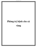 Phòng trị bệnh cho cá vàng