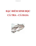 ĐẶC ĐIỂM SINH HỌC CÁ TRA - CÁ BASA