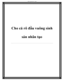 Cho cá rô đầu vuông sinh sản nhân tạo