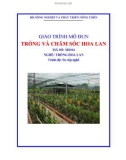 Giáo trình Trồng và chăm sóc hoa lan - MĐ04: Trồng hoa lan