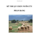 KINH NGHIỆM CHĂN NUÔI CỪU PHAN RANG