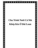 Chu Trình Nuôi Cá Mú Khép Kín Ở Đài Loan