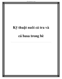 Kỹ thuật nuôi cá tra và cá basa trong bè