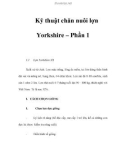 Kỹ thuật chăn nuôi lợn Yorkshire – Phần 1