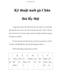 Kỹ thuật nuôi gà