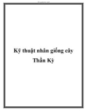 Kỹ thuật nhân giống cây Thần Kỳ