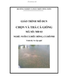 Giáo trình Chọn và thả cá giống - MĐ03: Nuôi cá diêu hồng, cá rô phi