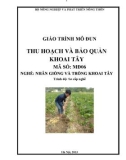 Giáo trình Thu hoạch và bảo quản khoai tây - MĐ06: Nhân giống và trồng khoai tây