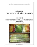 Giáo trình Thu hoạch và bảo quản hoa - MĐ05: Trồng hoa huệ, lay ơn, đồng tiền, hồng môn