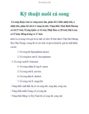 Các kỹ thuật nuôi cá song