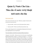 Quản Lý Nước Cho Lúa