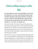 Nuôi cá bống tượng ở miền Bắc