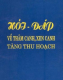 Hỏi đáp về thâm canh, xen canh tăng thu hoạch