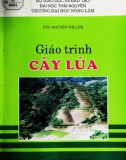 Giáo trình Cây lúa: Phần 1 - PTS. Nguyễn Thị Lẫm