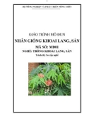 Giáo trình Nhân giống khoai lang, sắn - MĐ01: Trồng khoai lang, sắn