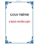 Giáo trình về chăn nuôi lợn