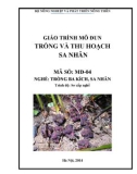 Giáo trình Trồng và thu hoạch sa nhân - MĐ04: Trồng ba kích, Sa nhân