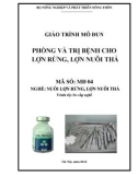 Giáo trình Phòng và trị bệnh cho lợn rừng, lợn nuôi thả - MĐ04: Nuôi lợn rừng, lợn nuôi thả