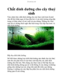 Chất dinh dưỡng cho cây thuỷ sinh