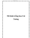 Mô hình trồng hoa Cát Tường