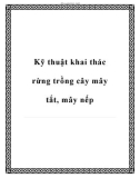 Kỹ thuật khai thác rừng trồng cây mây tắt, mây nếp