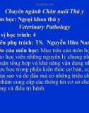 Bài giảng Ngoại khoa thú y - TS. Nguyễn Hữu Nam.