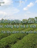 Bài giảng Rainforest Alliance đào tạo cho các nông trại trà ở Việt Nam