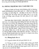 Kỹ thuật nuôi cá rô phi vằn part 6