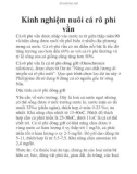 Kinh nghiệm nuôi cá rô phi vằn