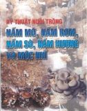 Kỹ thuật nuôi trồng nấm mỡ, nấm rơm, nấm sò, nấm hương và mọc nhĩ part 1