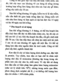 Hướng dẫn kỹ thuật nuôi dê part 5