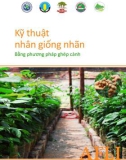 Kỹ thuật nhân giống nhãn bằng phương pháp ghép cành