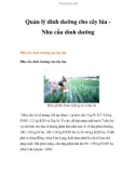 Quản lý dinh dưỡng cho cây lúa - Nhu cầu dinh dưỡng