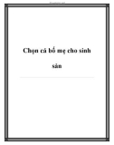 Chọn cá bố mẹ cho sinh sản