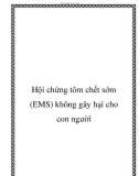 Hội chứng tôm chết sớm (EMS) không gây hại cho con người