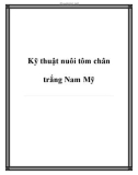 Kỹ thuật nuôi tôm chân trắng Nam Mỹ