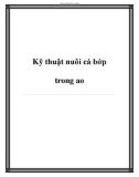 Kỹ thuật nuôi cá bớp trong ao